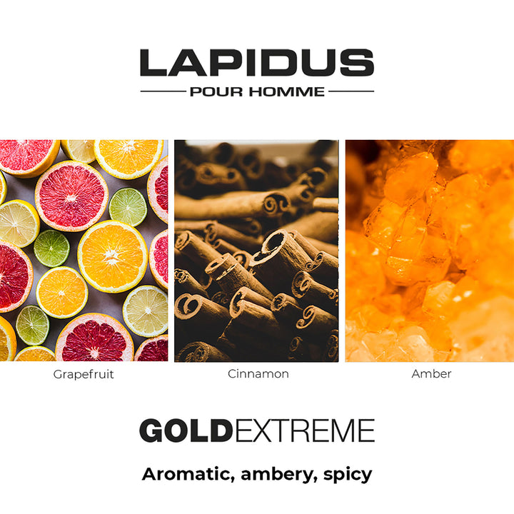 Ted Lapidus Homme Gold Extreme Edt 100ml