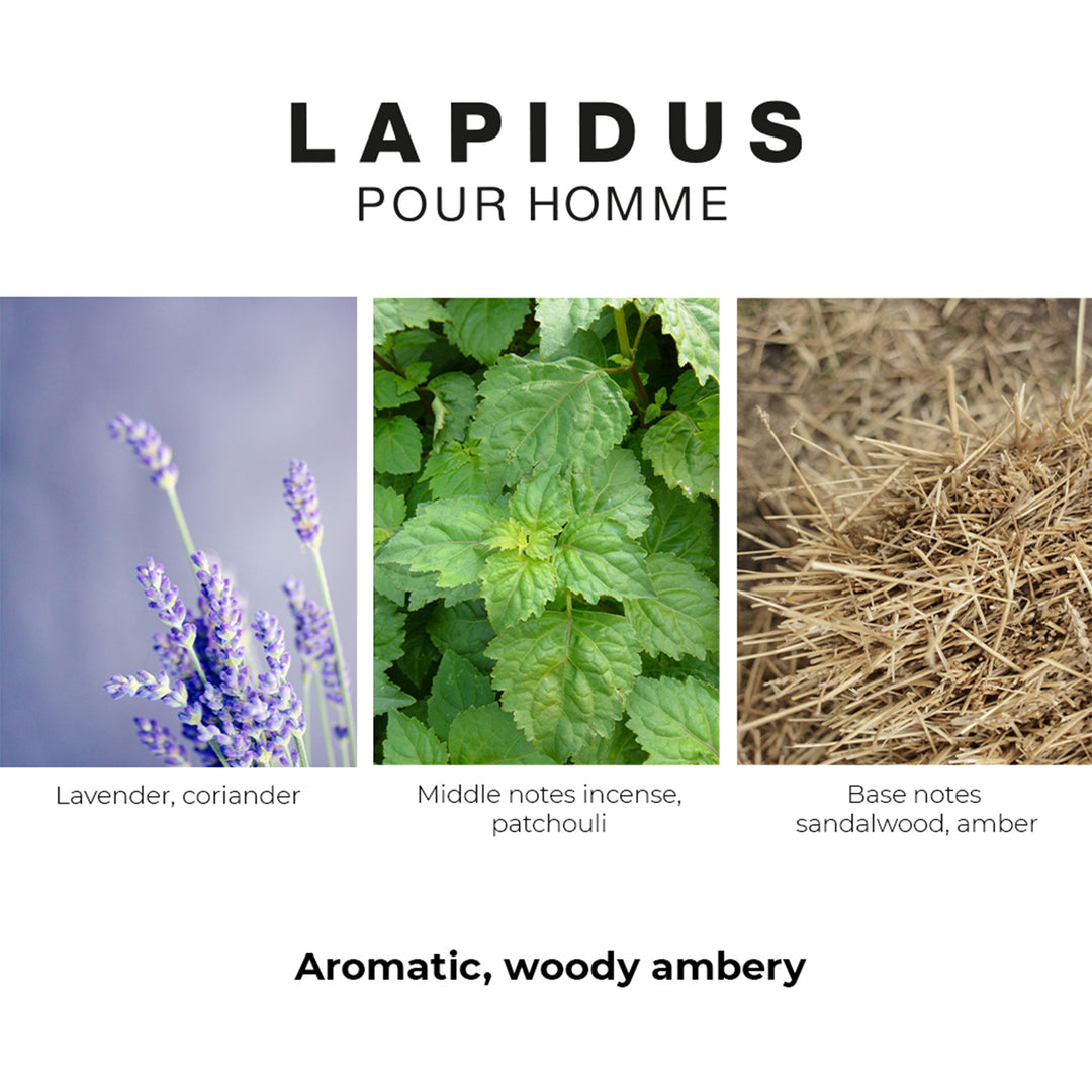 Ted Lapidus Homme Edt 100ml