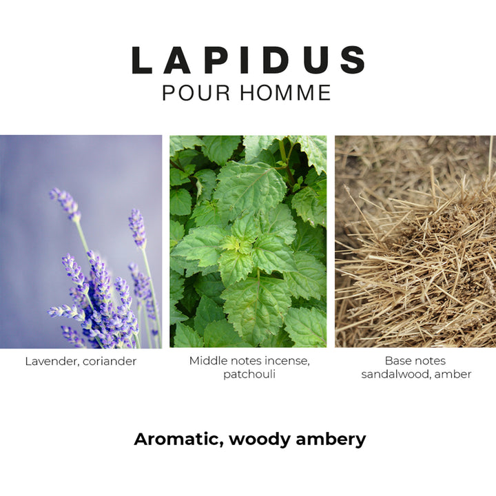 Ted Lapidus Homme Edt 100ml